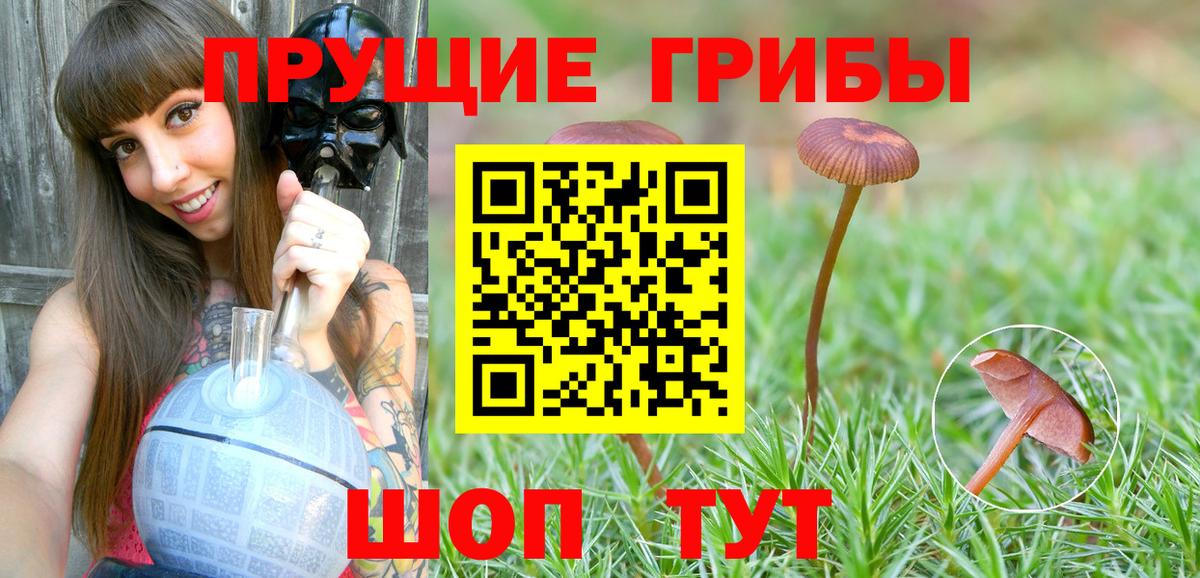 Псилоцибиновые грибы MAGIC MUSHROOMS  Галлюциногенные грибы прущие грибы  Вход с VPN  Тейково 